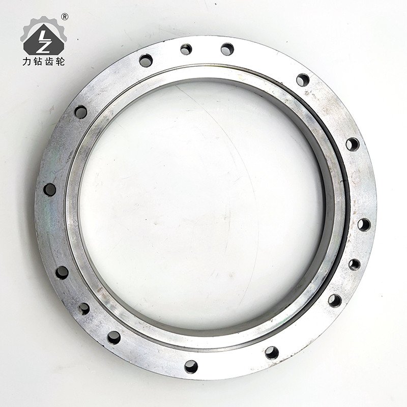 LIZUAN Gear Oil Seal Plate SK200-3 Machinery Excavator Gear Parts