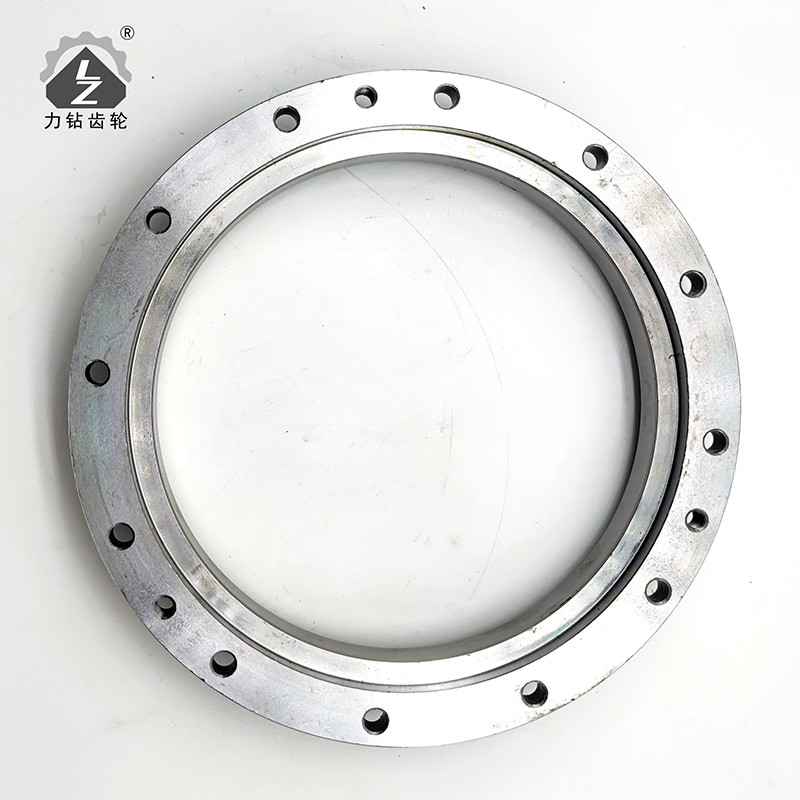LIZUAN Gear Oil Seal Plate SK200-3 Machinery Excavator Gear Parts